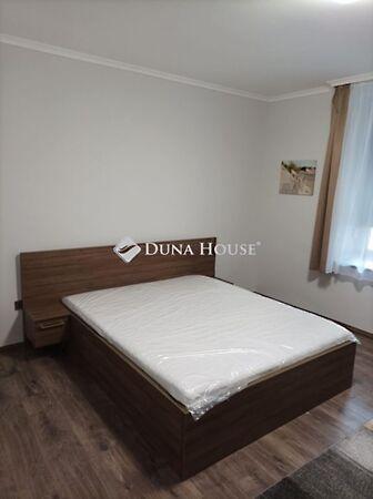 Szilágyi Dezső, Pécs 3. képe