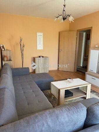 Illyés Gyula, Pécs 3. képe