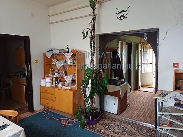 Gávavencsellő 3. képe