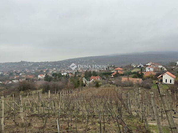 Csurgó, Pécs képe