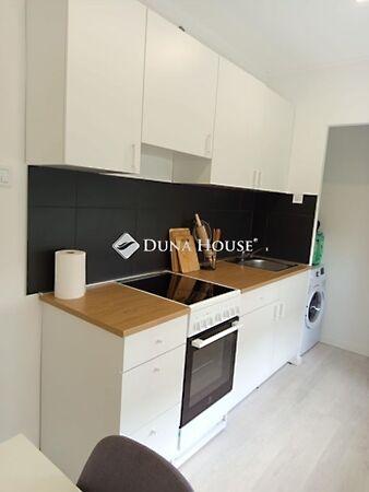 Alkotmány, Komló 2. képe