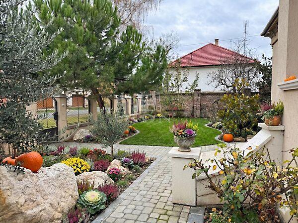 belvároshoz, Cegléd 3. képe