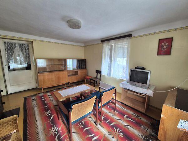 Pacsirta, Jánoshalma 2. képe