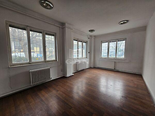 Rigó, Debrecen 3. képe