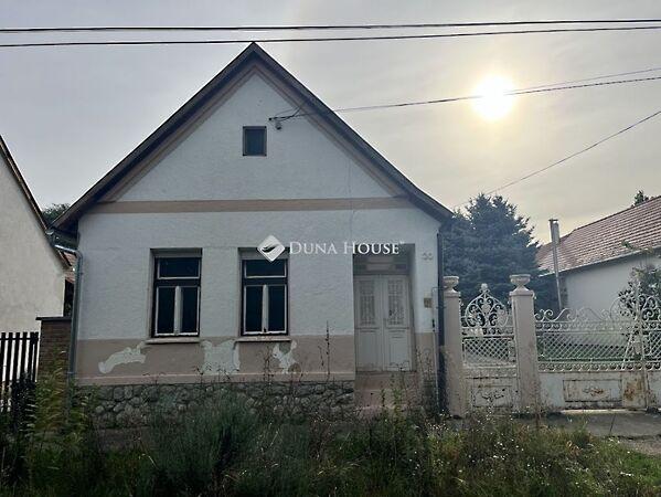 Zrínyi Miklós, Szalánta képe