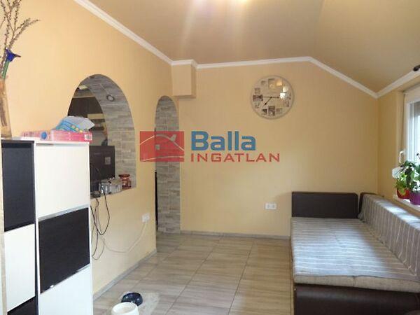 Szúnyog, Tiszakécske képe