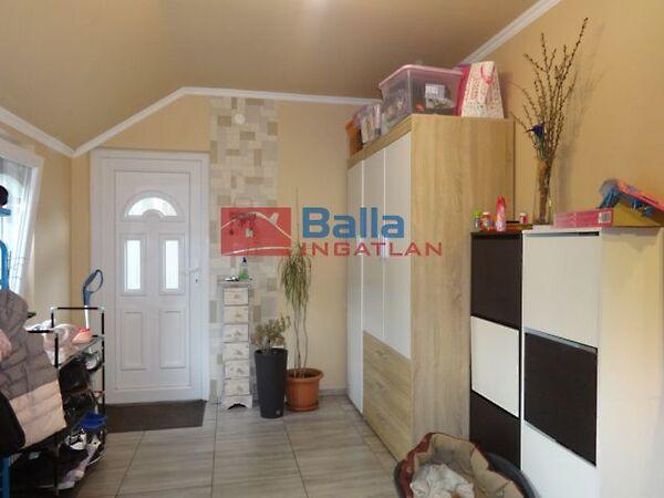 Szúnyog, Tiszakécske 2. képe