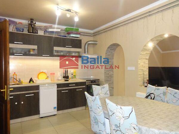 Szúnyog, Tiszakécske 3. képe