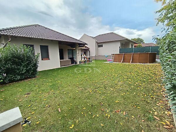 Fészekrakó, Veresegyház 3. képe