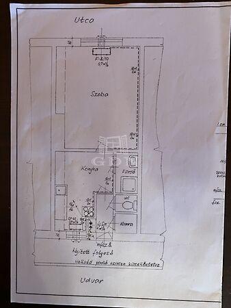 Vízisport, Budapest, XX. kerület 2. képe