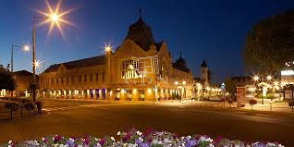 Munkácsy Mihály, Gödöllő képe