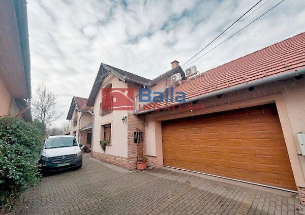 Röges, Gödöllő képe