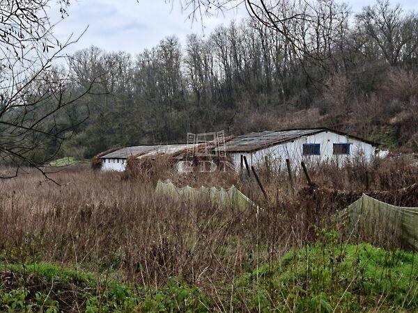 Pécel, többcélú , Pécel képe