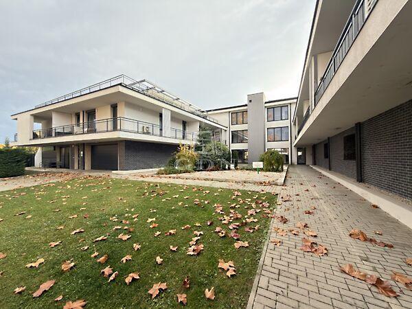 Nefelejcs, Székesfehérvár 3. képe