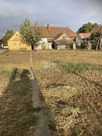 Molnár utca, Baja képe