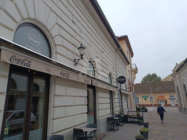 Kecskemét, Kecskemét képe