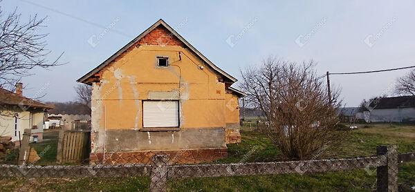 Baktüttös 3. képe