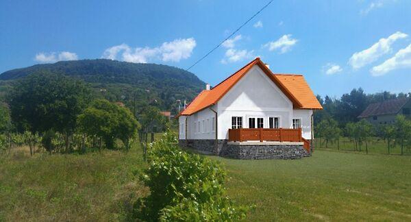 Badacsonytördemic 2. képe