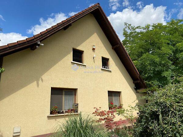 Szentkirály 2. képe