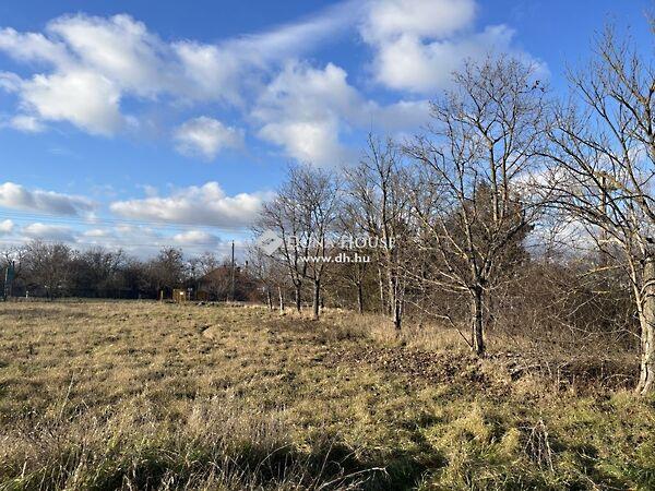 Hicu-telepi, Gyula 3. képe