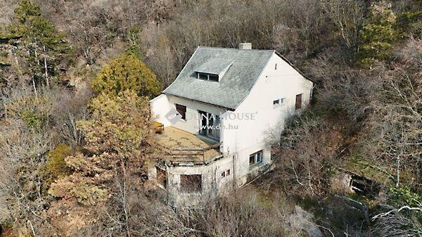 Hunyadi János, Pécs képe