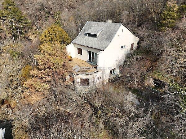 Hunyadi János, Pécs 2. képe