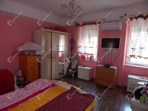 Mezőcsokonya 3. képe