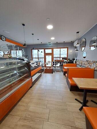 József Attila, Szigetvár 3. képe