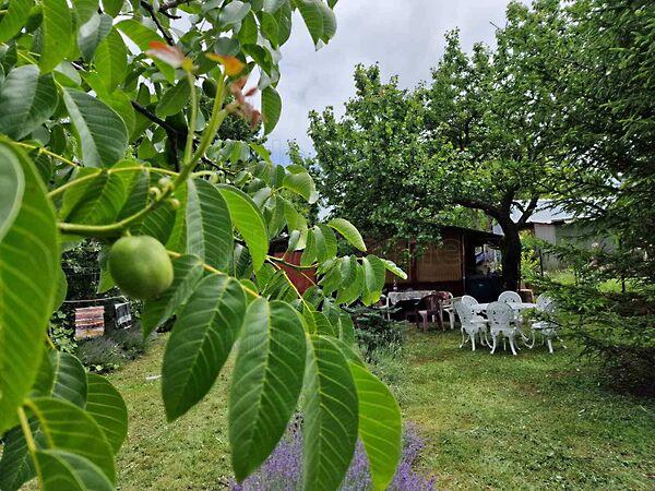 Balatonfüred 2. képe