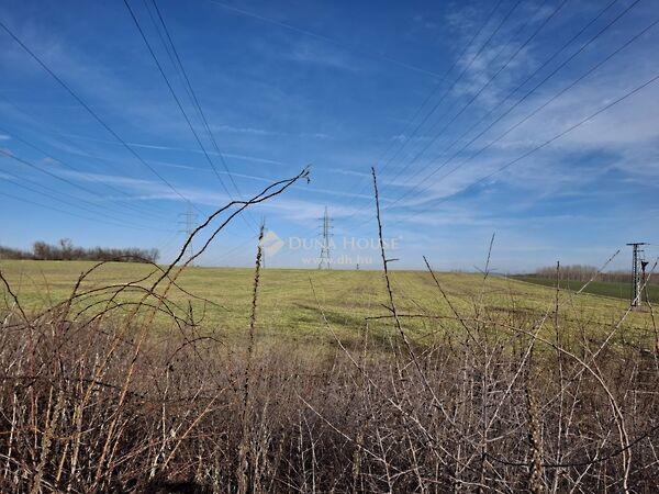 Táncsics Mihály, Bicske képe