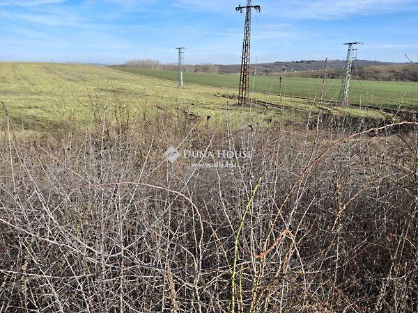 Táncsics Mihály, Bicske 2. képe