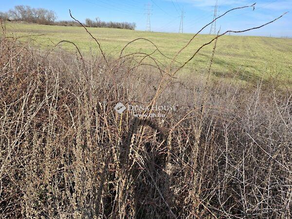 Táncsics Mihály, Bicske 3. képe