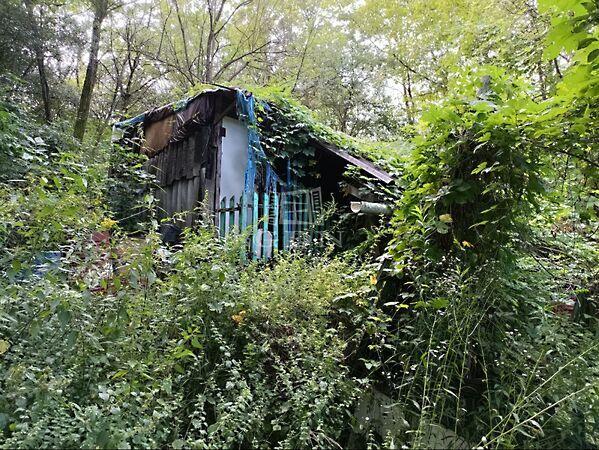 Öreghegy-, Isaszeg képe