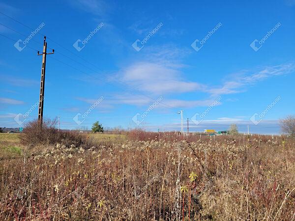 Kankalin, Sopron 2. képe