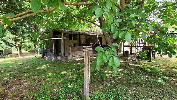 Szőlősgyörök 2. képe