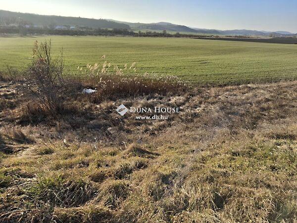 Széchenyi tér, Dág 3. képe