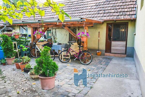 Dózsa György, Városföld 2. képe