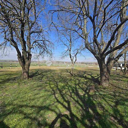 Szentkirály 3. képe