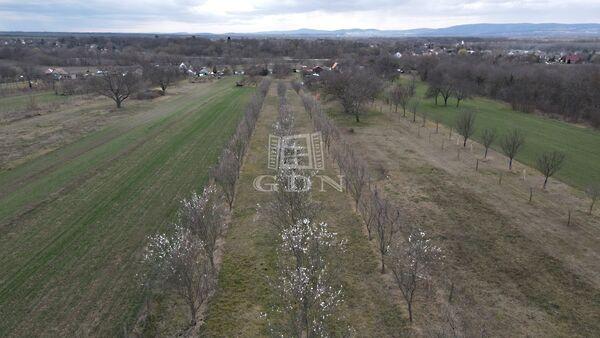 Nádasdladány képe