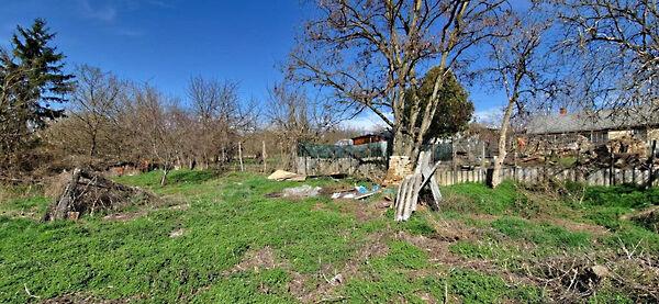 Ady Endre, Igal 2. képe