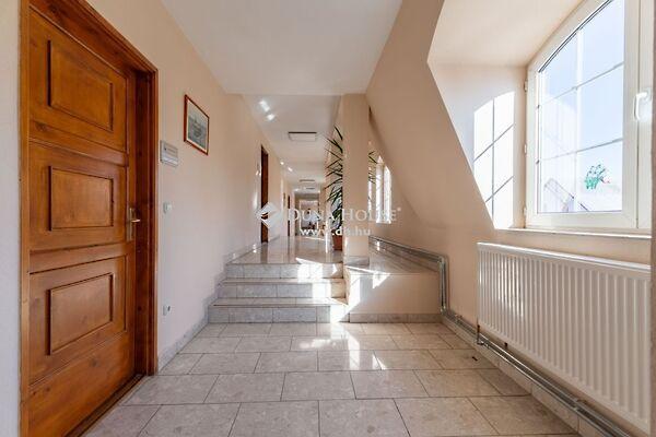 Bacsó Béla, Tata képe