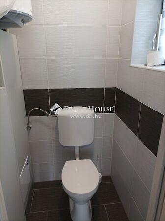 Szilágyi Dezső, Pécs 2. képe