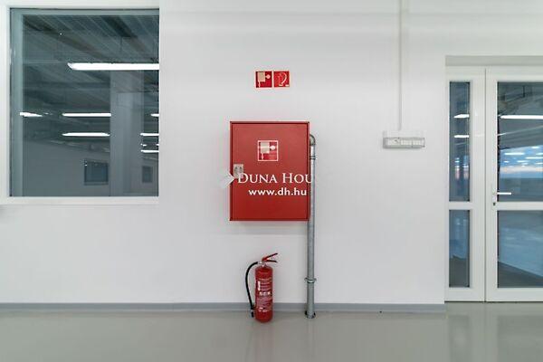 Siklósi, Pécs 2. képe