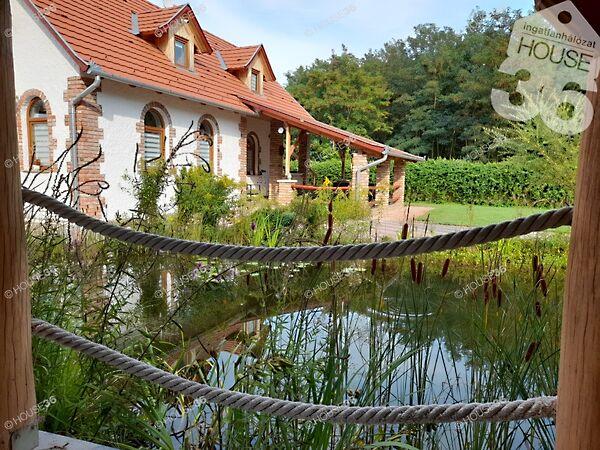 Kossuth Lajos, Szentkirály képe