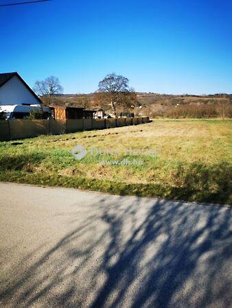 Arany János, Sárisáp képe