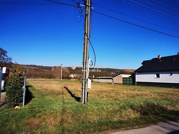 Arany János, Sárisáp 3. képe