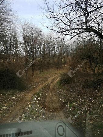 Nagykapornak 3. képe