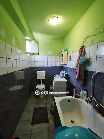 Fő, Kalocsa 2. képe