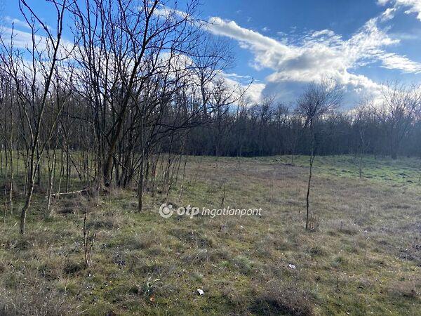 Jászberény 2. képe