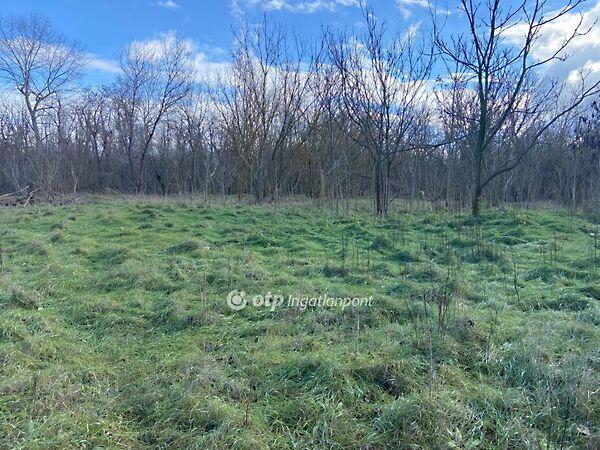 Jászberény 3. képe